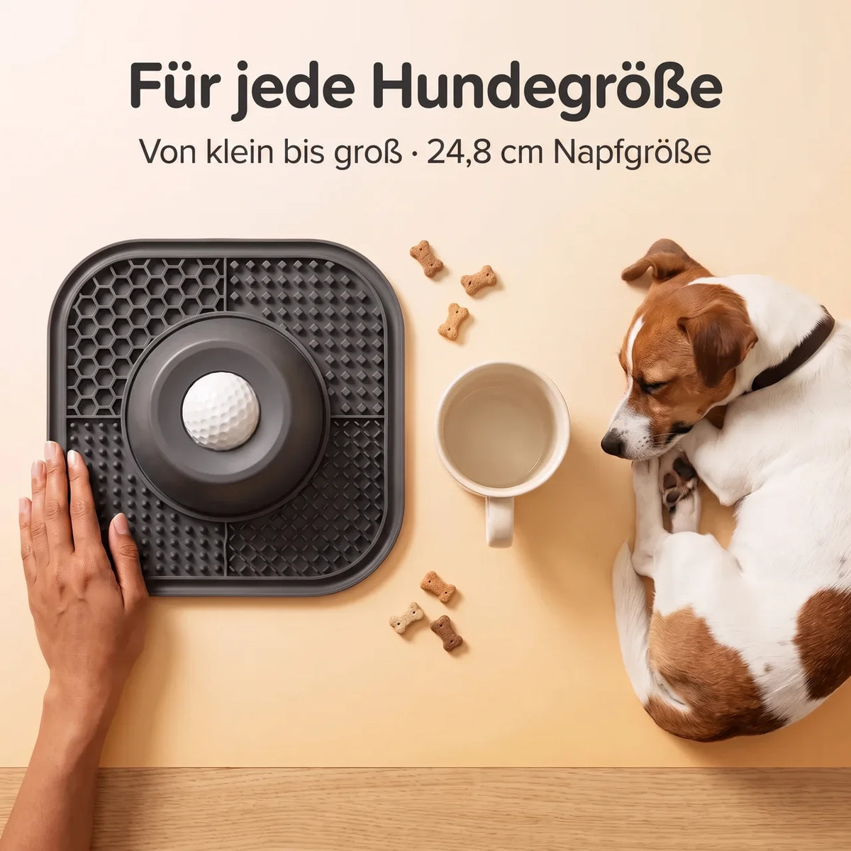 CanoPaw Ruhe-Napf – Lecknapf für entspannte Hunde